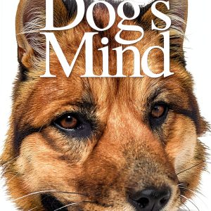 Dog Training for Beginners: A Comprehensive Guide by Howell Book House-0