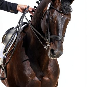 Toni Mari Dancing With Horses Book 1 Kindle eBook English 234 Pages-0