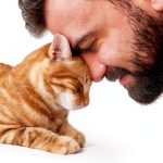 Cat Care & Health Guide for Kindle-0