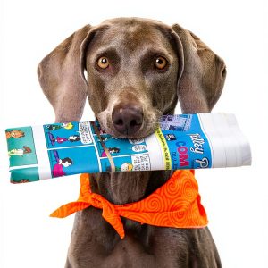 Quarry Books Dog Tricks and Training Kindle eBook 906‑Page Guide-0