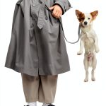 Dog Training by the Monks of New Skete-0