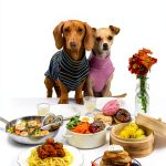 Dog Food Nutrition Guide by BenBella Books Kindle eBook-0