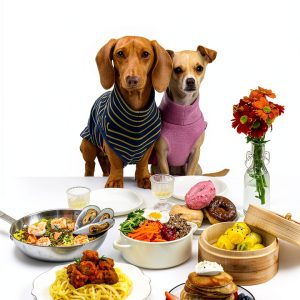 Dog Food Nutrition Guide by BenBella Books Kindle eBook-0